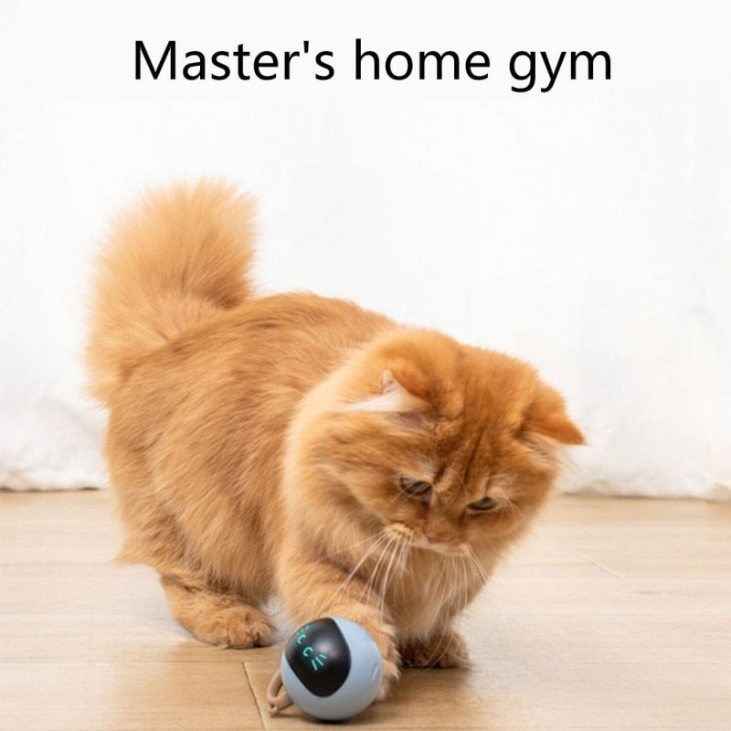 Smartie-Cat Toy™