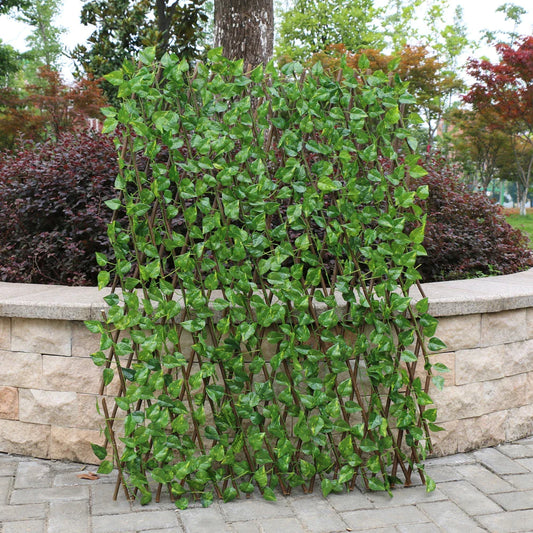 Secluded Ivy Haven Screen